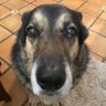 Profilbild von Carlitos