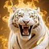 كبير القارة 🟡1927's profile picture
