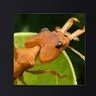 Фото профиля すい🐜 趣味とゲーム垢