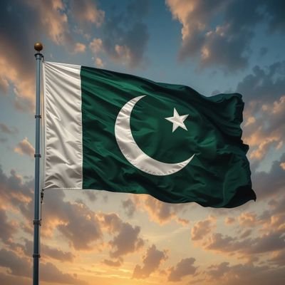 Original Pakistani's profile picture