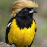 Alejandro Ferrer's profile picture