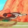 Le coyote 的头像