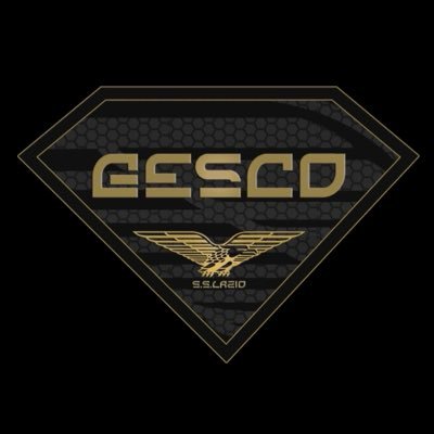Gesco Ge's profile picture