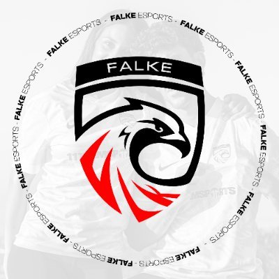 FALKE_EC's profile picture
