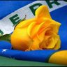 Débora🇧🇷🇮🇱's profile picture