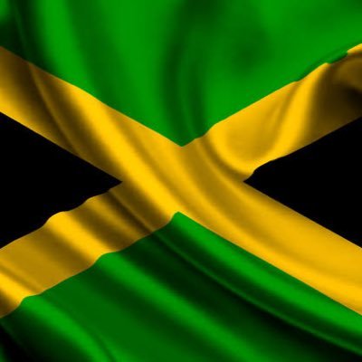 Jamaican steel 🇯🇲's profile picture