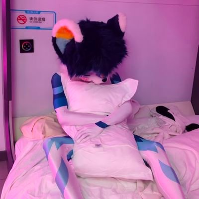 QiAn1QAQ's profile picture