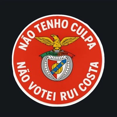Pedro Silva 🔴⚪'s profile picture