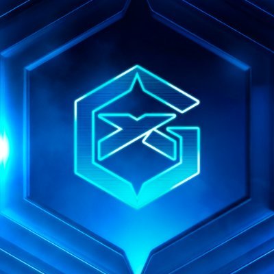 GIANTX VALORANT's profile picture