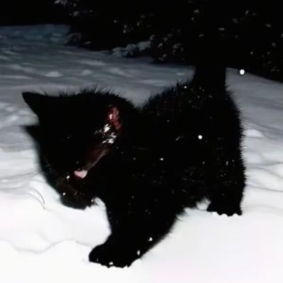 N EVER's profile picture