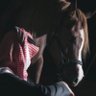 Profilbild von رائد الحربي