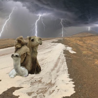 عدسة البر's profile picture