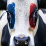Sandeme ✊ 🇨🇵 profil fotoğrafı