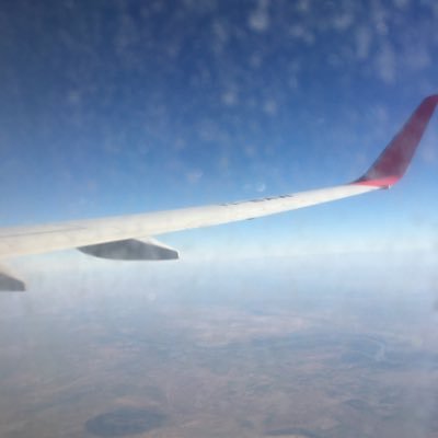 The migratory bird's profile picture