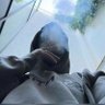 Young_A 的头像