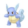 Profilbild von Wartortle