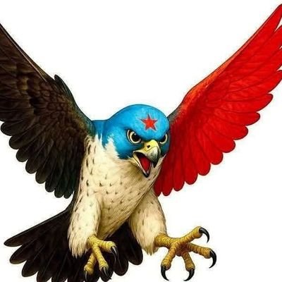 Abolbrahim2018's profile picture