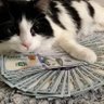 Фото профиля kindro II 💢