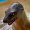 Profilbild von Heiner_v_Vielen