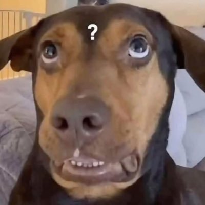 𝖌𝖔́𝖒𝖊𝖟's profile picture