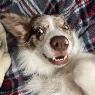 tildas🐇's profile picture