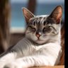 Гена Гена's profile picture