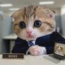 Profilbild von CEO.Cat