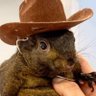 Buster Kuntin's profile picture