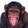 MDR's profile picture