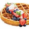 Waflllady - Xtreme shadowban MAGA/MAHA Reposter :) profil fotoğrafı