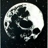 Rob Regal's profile picture