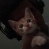 DRAUDY's profile picture