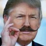 Fake POTUS's profile picture