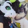 Colin 🏳️⚧️ 🔜 Stratousfur's profile picture