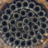 Singularity or Doom profil fotoğrafı