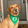 Titus 🦆's profile picture