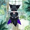 suama1113's profile picture