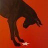 MN profil fotoğrafı