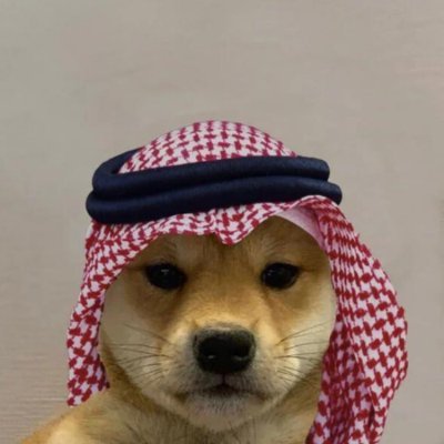ram jr.'s profile picture
