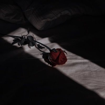 Nightmare_knoxx's profile picture