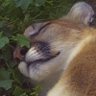 graypes's profile picture