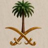 سعودي 🇸🇦's profile picture