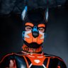c0conutx_🥥's profile picture