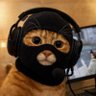 catwifmask official profil fotoğrafı