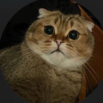 VolgaLad's profile picture