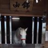 けいこ's profile picture