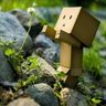 Profilbild von Kagiso 🇿🇦 🇿🇼 🇹🇿