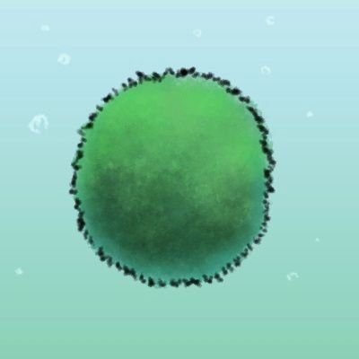 marimo_fr's profile picture
