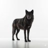 Фото профиля Timberwolf 576