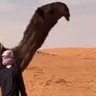 Profilbild von ابن صنت